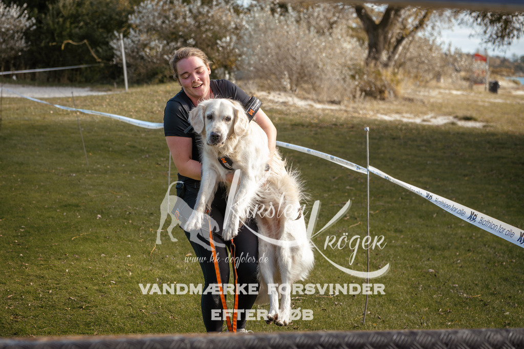 1459_ZZ95487-2 | kk-dogfotos