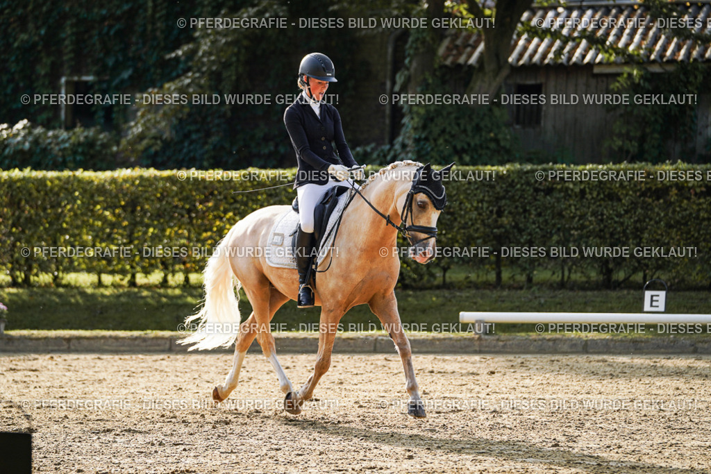 DSC04900 | Pferdegrafie