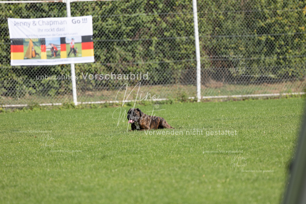 _16A6874 | Einzigartige Fotos von Hunden & Menschen –Actionfotos, Portraits, Vereinsaufnahmen & Paarshootings – authentisch, lebendig & mit Herz.