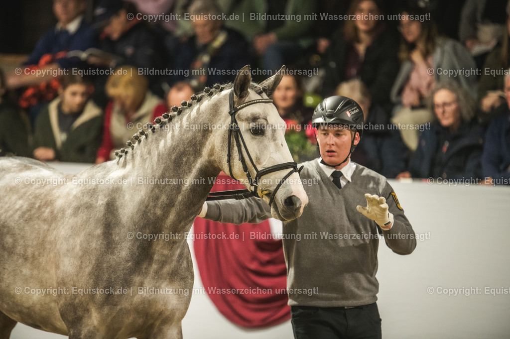 20240302_Hengstvorstellung_Marbach_TOMsPiC_0971 | equistock