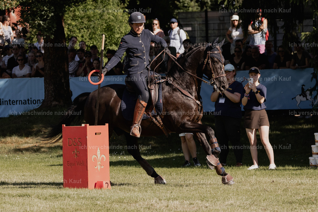 WE_MOS_Stoib_315_PI2025_2360 | Pferd International München 2025