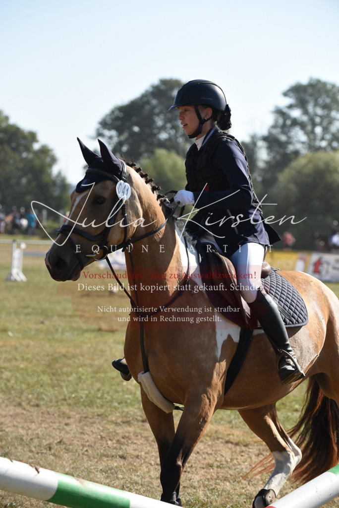 DSC_5985 | Pferde- und Turnierfotografie in Westsachsen. Pferdeportraits, Auftragszeichnungen und intuitive Kunst.