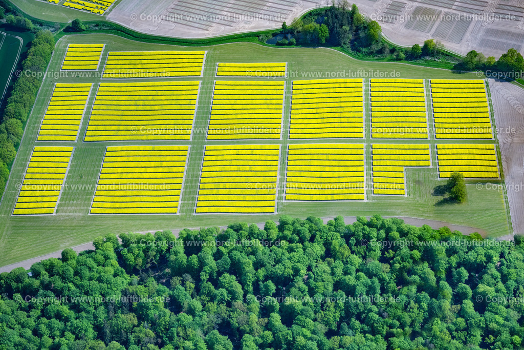 Altenhof_Eckernförde_Raps_Versuchsfelder_ELS_2285140523 | ALTENHOF 14.05.2023 Feld- Landschaft gelb blühender Raps- Blüten in Altenhof im Bundesland Schleswig-Holstein, Deutschland. // Field landscape yellow flowering rapeseed flowers in Altenhof in the state Schleswig-Holstein, Germany. Foto: Martin Elsen