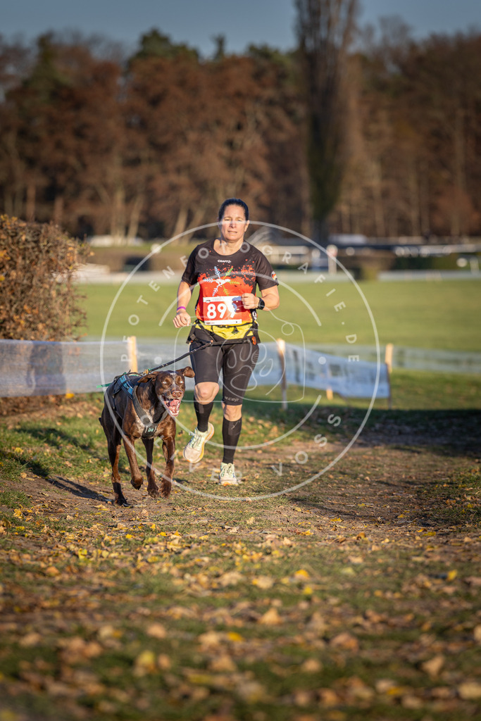 CaniXpix_DV3A4566 | Hundefotografie, Tierfotograf, Pfotenfotografie, Fotoshooting Hund, Hunde Portrait, Hundesport, Hundeportraits, Heideshooting, Hunde, Sportfotograf, Hundefotograf, Turnierhundsport, THS,  - Realisiert mit Pictrs.com