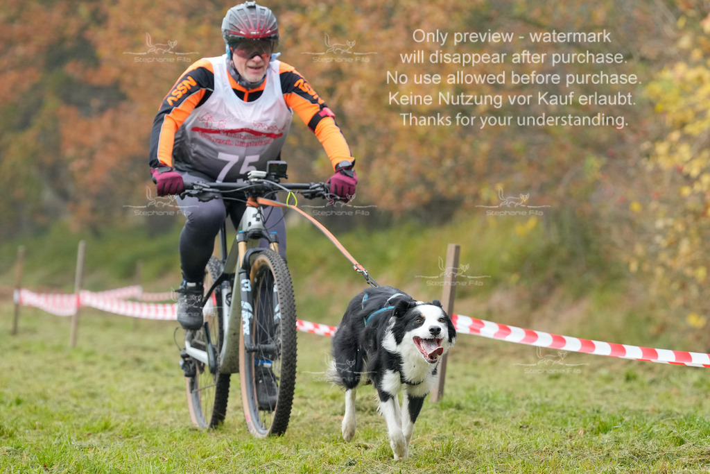 AusschnitteSa-137 | stephaniefillaphotographie - Realisiert mit Pictrs.com