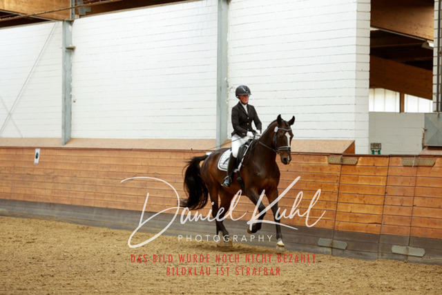 _62_6788 | Turniersportfotografie; Pferdefotografie; Dressurfotografie