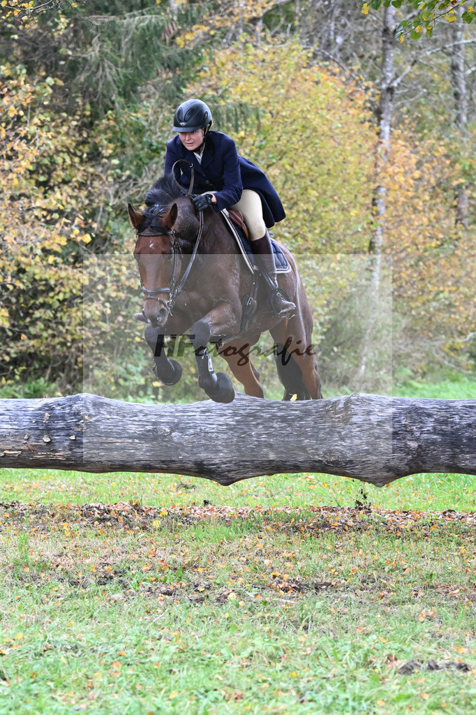 41240726 | hf-fotografie - Realisiert mit Pictrs.com