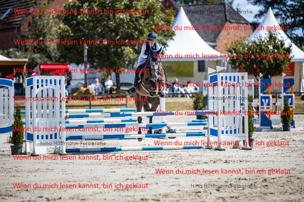 BK1A5387 | Turnierbilder Turnierfotos Nina Hüffmann Turnierfotografie Pferdefotografie Tierzeichnung Haustierzeichnung Pferdezeichnung Hundezeichnung Videograf  - Realisiert mit Pictrs.com