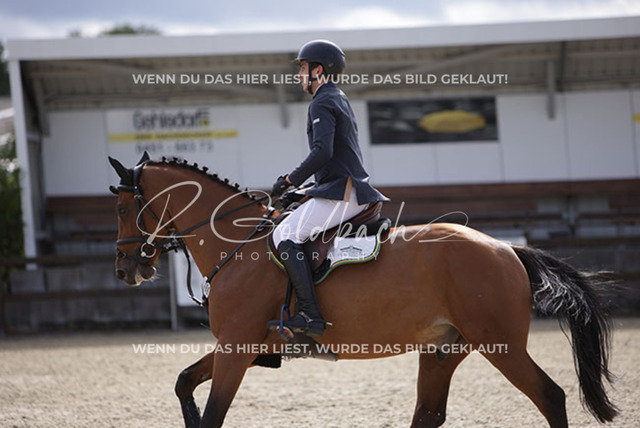 1J2A2236Emanuele Sparacia_ Diam VA_ Kn386_ Havekost | Foto- und Videografie für alles rund ums Pferd. Hochwertige Bilder und Videos vom Spring- und Dressurreiten, Voltigieren & mehr. Jetzt aktuelle Veranstaltungen und Preise im Shop ansehen. - Realisiert mit Pictrs.com
