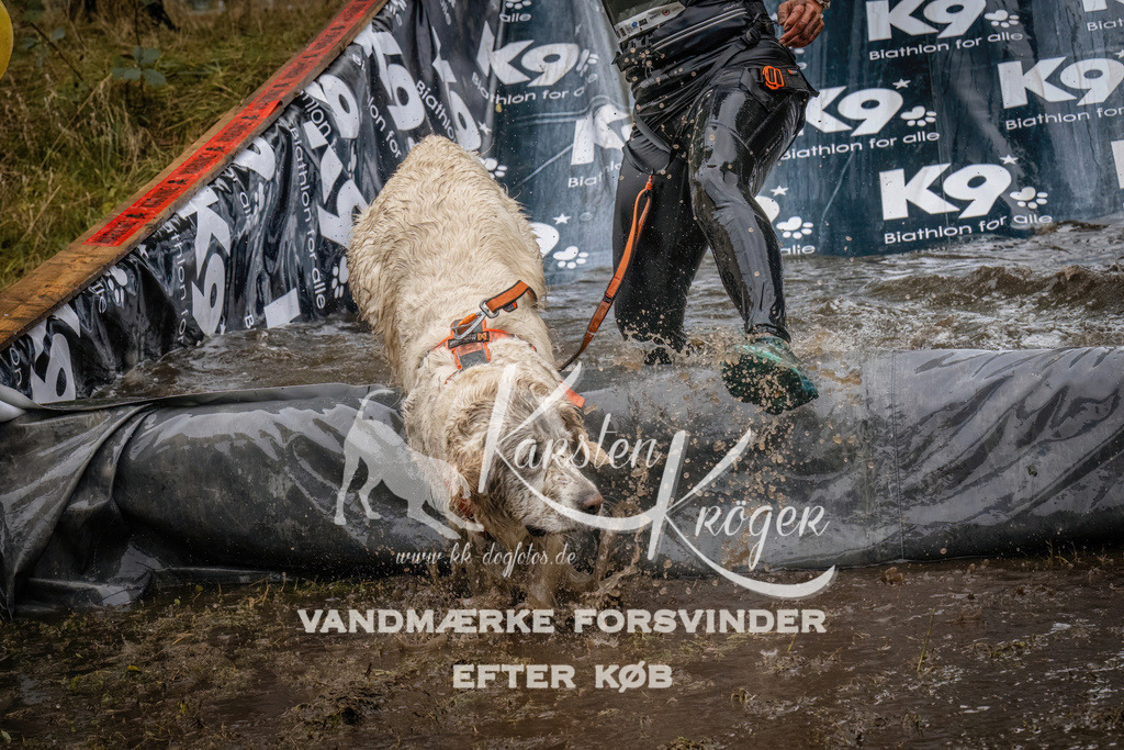 1213_ZZ94798 | kk-dogfotos