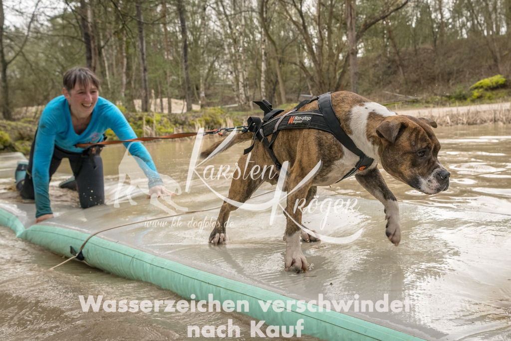 1341_ZZ90503-Bearbeitet | kk-dogfotos