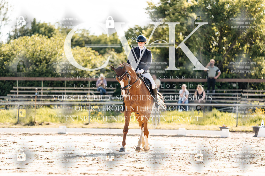 CK909308 | Turnierfotografie Pferdefotografie Trier Rheinland-Pfalz Pferdesport Reitsport Tierfotografie Sportfotografie Pferdevideo Pferdevideografie Equestrianvideography equestrianphotography  - Realisiert mit Pictrs.com