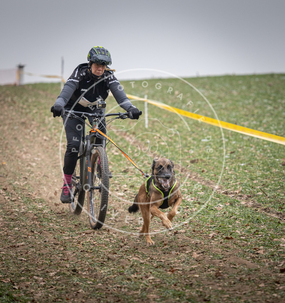Pfotenfotografie_DV3A1541 | Hundefotografie, Tierfotograf, Pfotenfotografie, Fotoshooting Hund, Hunde Portrait, Hundesport, Hundeportraits, Heideshooting, Hunde, Sportfotograf, Hundefotograf, Turnierhundsport, THS,  - Realisiert mit Pictrs.com