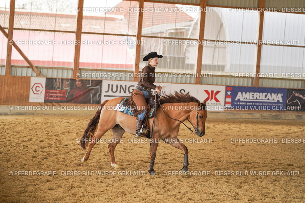 DSC04670 | Pferdegrafie