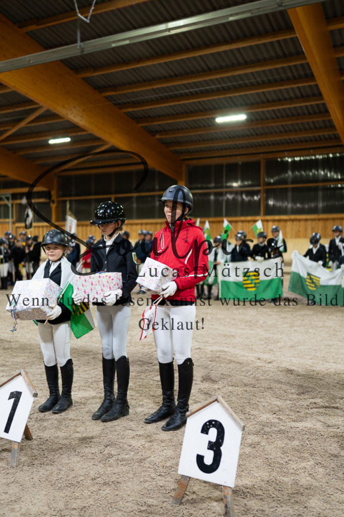 A7V03406 | Pferdefotograf