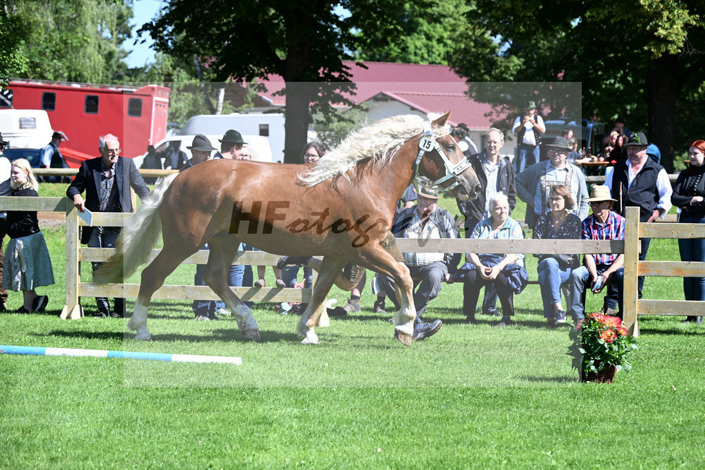 Kat-Nr. 15 Rosenrot v. Voithberg_Brandl_22240252 | hf-fotografie - Realizzato con Pictrs.com