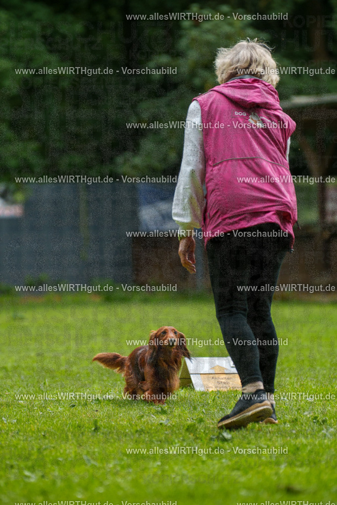 @allesWIRTHgut_Tierfotografie - www.allesWIRTHgut.de - 091037-7R506670 | Professionelle Tierfotografie in Mönchengladbach von Daniel Wirth (allesWIRTHgut). Liebevolle & natürliche Bilder von Hunden & Katzen für unvergessliche Erinnerungen.