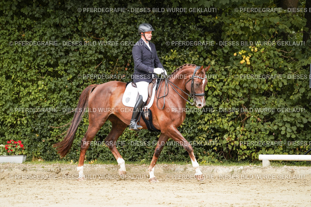 DSC03637 | Pferdegrafie