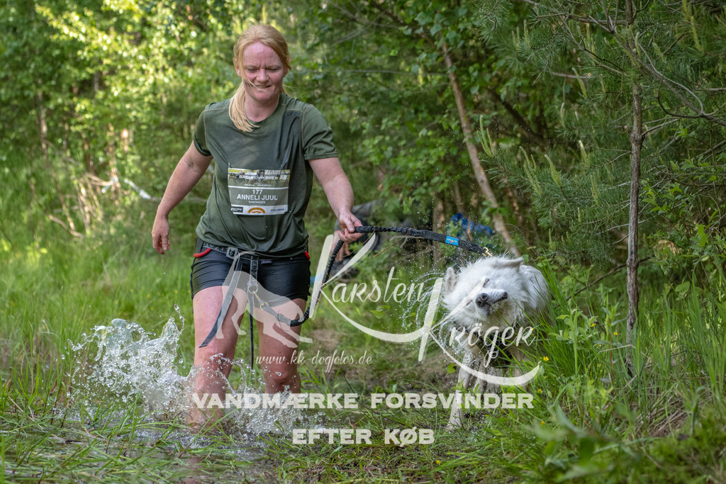 0951DKK9_ZZ93608 | kk-dogfotos