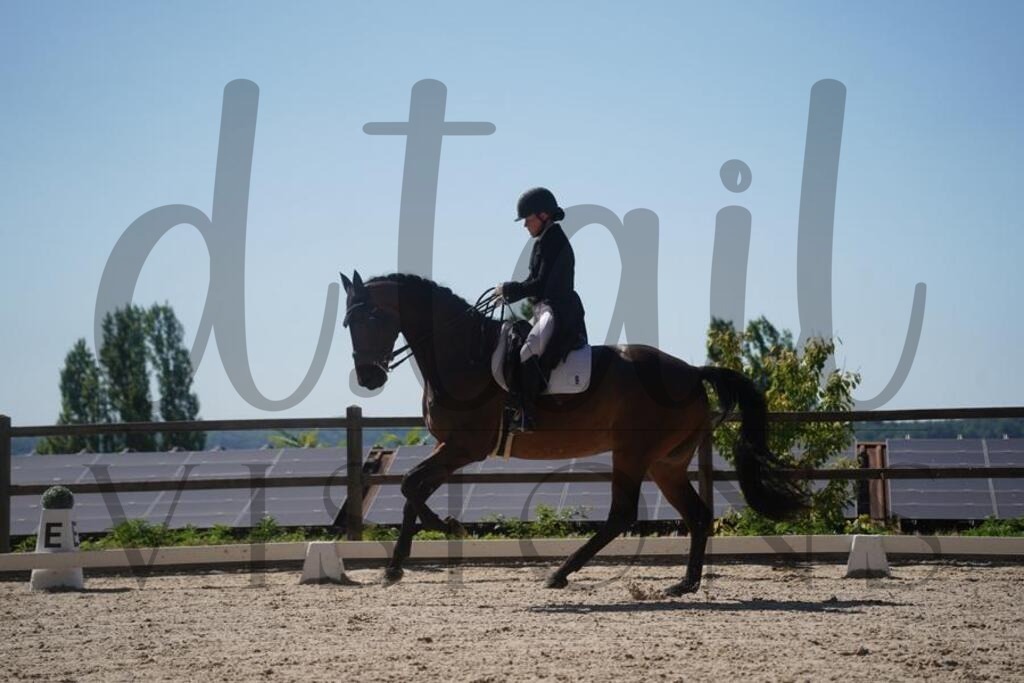 tgbhsonntag (1694) | d.tail Visions - Shop - Realisiert mit Pictrs.com