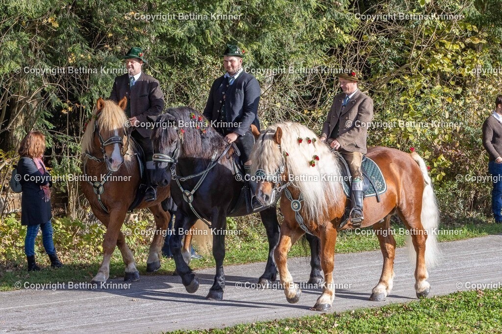 LBT24-246 | foto-bettina-krinner - Realisiert mit Pictrs.com