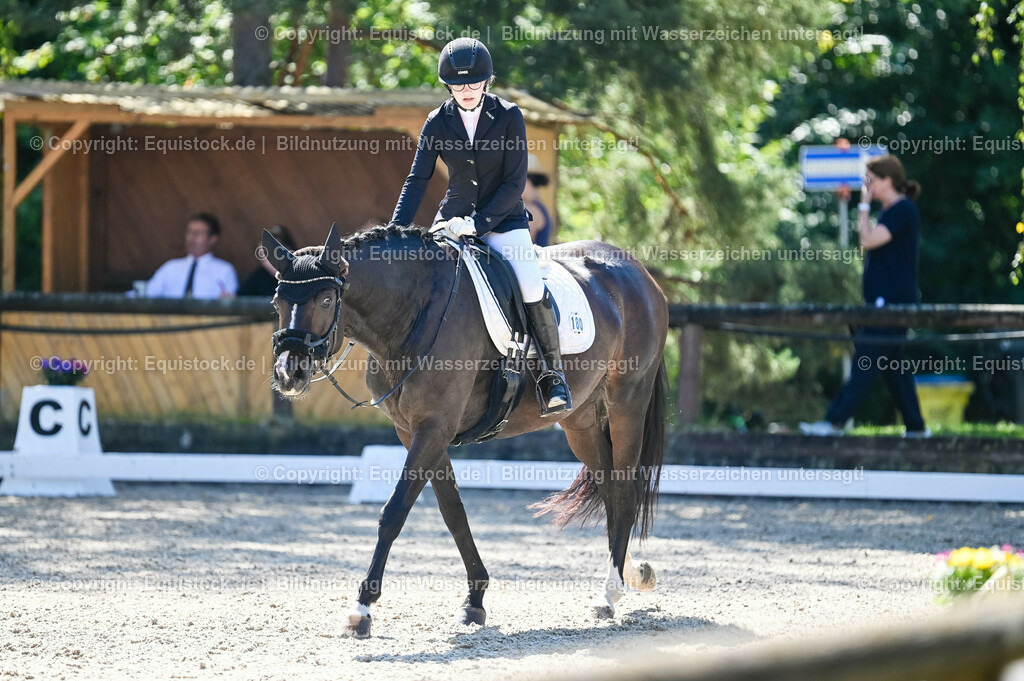 20230908_06_Dressur-L-Trense_0589 | equistock