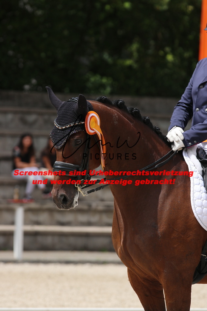 IMG_2008 | lmwpictures - Realisiert mit Pictrs.com