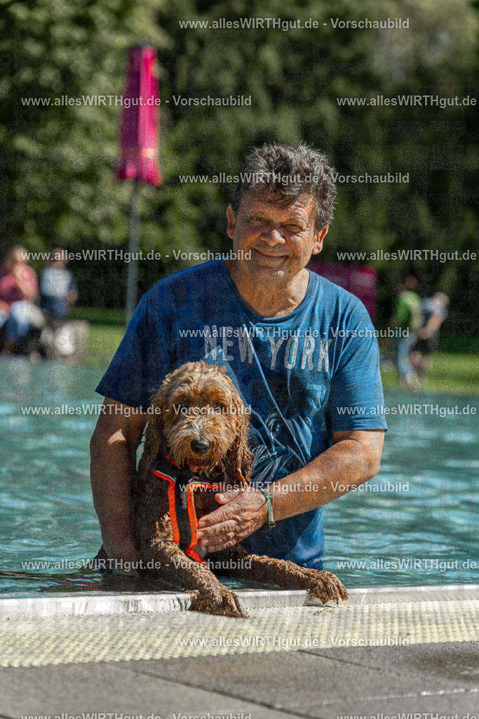 Hundeschwimmen_Volksbad_2026-allesWIRTHgut_Tierfotografie-2609061254-120422-7R500283 | Professionelle Tierfotografie in Mönchengladbach von Daniel Wirth (allesWIRTHgut). Liebevolle & natürliche Bilder von Hunden & Katzen für unvergessliche Erinnerungen.