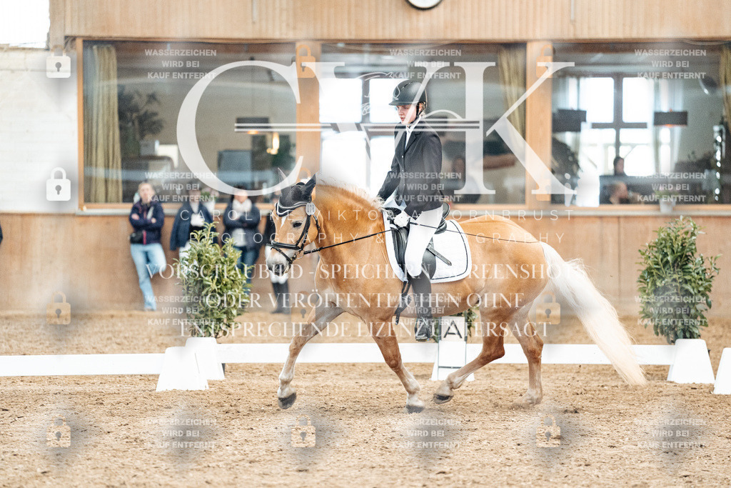 CK900089 | Turnierfotografie Pferdefotografie Trier Rheinland-Pfalz Pferdesport Reitsport Tierfotografie Sportfotografie Pferdevideo Pferdevideografie Equestrianvideography equestrianphotography  - Realisiert mit Pictrs.com