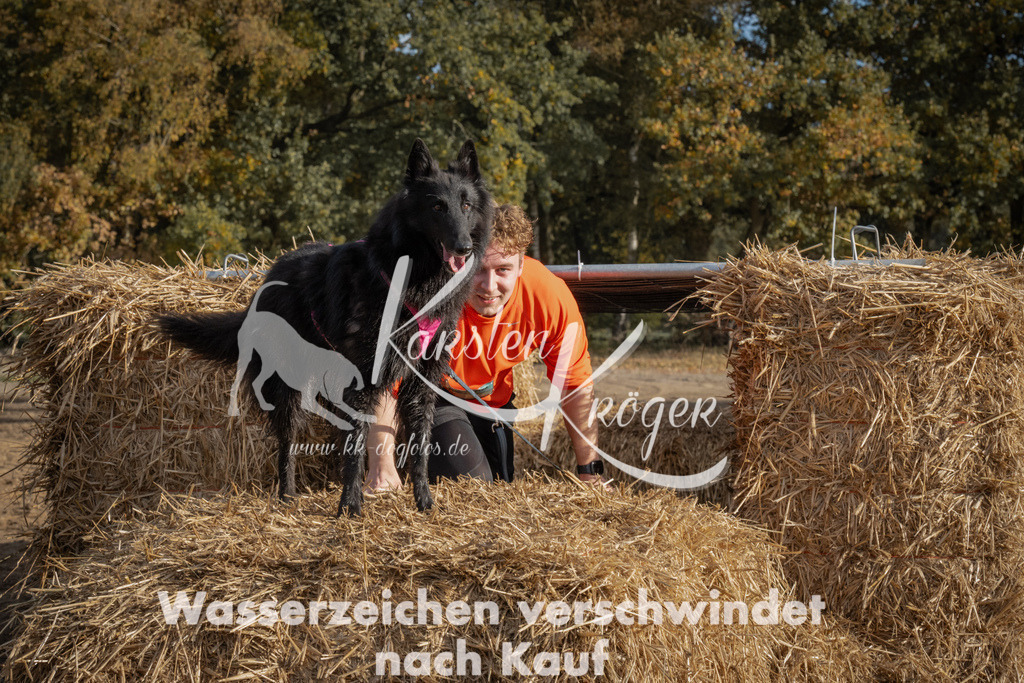 1035_ZZ98827 | kk-dogfotos