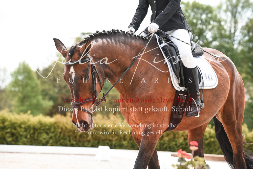 20230518_JK-Röhrsdorf-10-204 | Pferde- und Turnierfotografie in Westsachsen. Pferdeportraits, Auftragszeichnungen und intuitive Kunst.