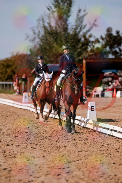 2026_10_03_Siefer-Hof_130036_Z81_51427283 | Professionelle Reitsport-, Turnier- und Eventfotografie von Robert Broda. Galerien mit ausgewählten und bearbeiteten Bildern direkt online ansehen und bestellen.
