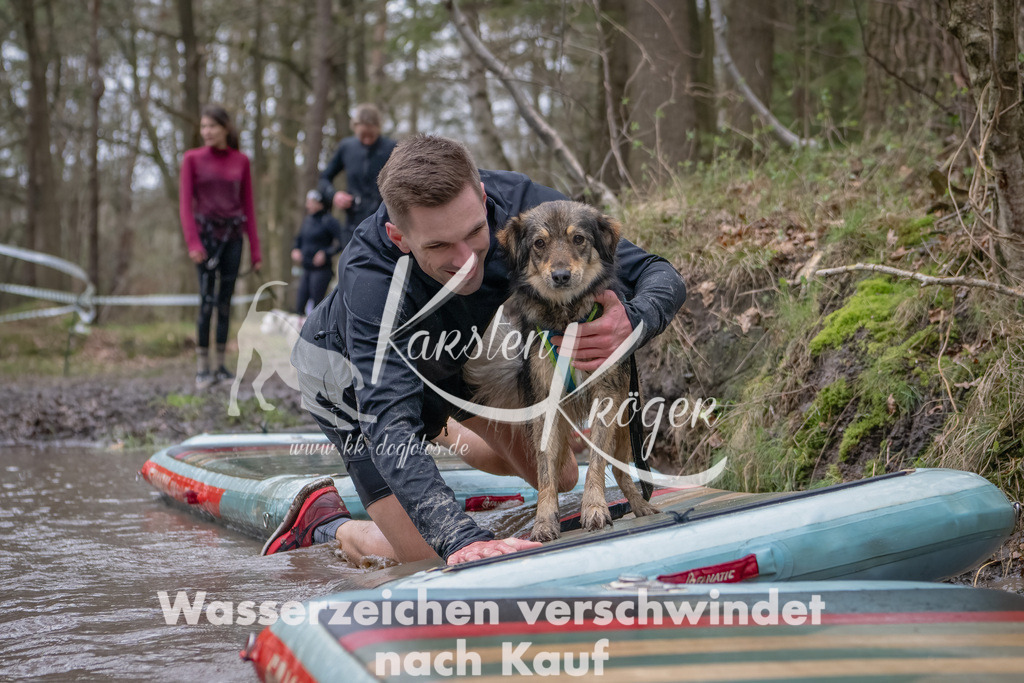 1132_ZZ93245-Bearbeitet | kk-dogfotos