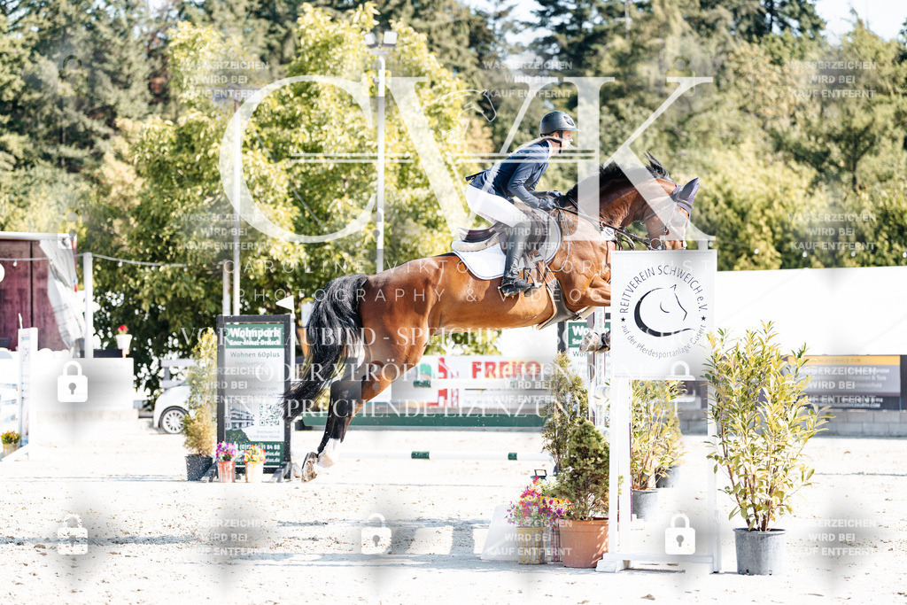 CK902194 | Turnierfotografie Pferdefotografie Trier Rheinland-Pfalz Pferdesport Reitsport Tierfotografie Sportfotografie Pferdevideo Pferdevideografie Equestrianvideography equestrianphotography  - Realisiert mit Pictrs.com