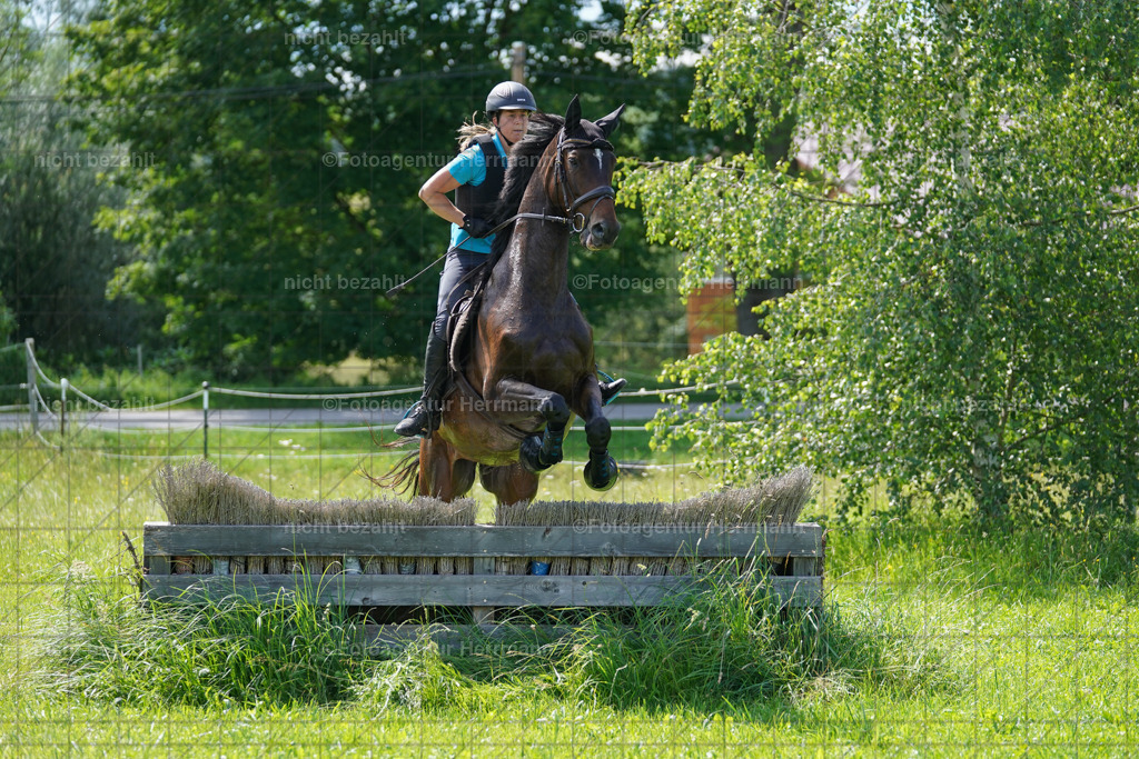20240622-FAH07836 | Turnierfotografen Bayern, Reitsportbilder aus dem Geländekurs mit Felix Etzel auf dem Gut Waitzacker 2024