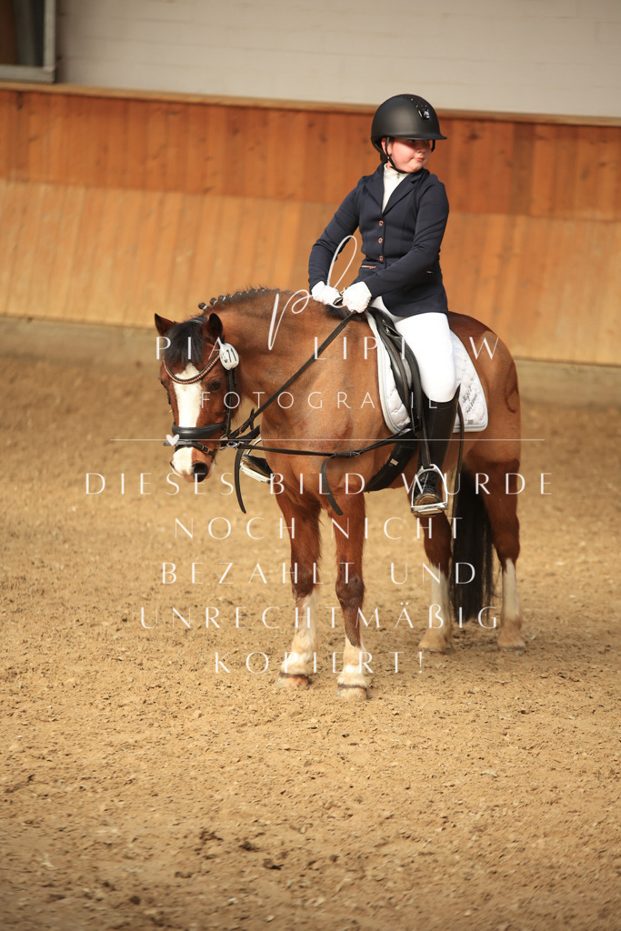 IMGT5832 | pl-fotografie