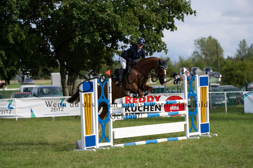 A7V05025 | Pferdefotograf