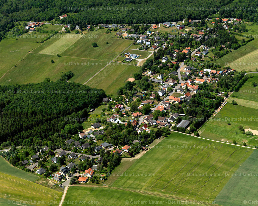 3108747 | Münchwald