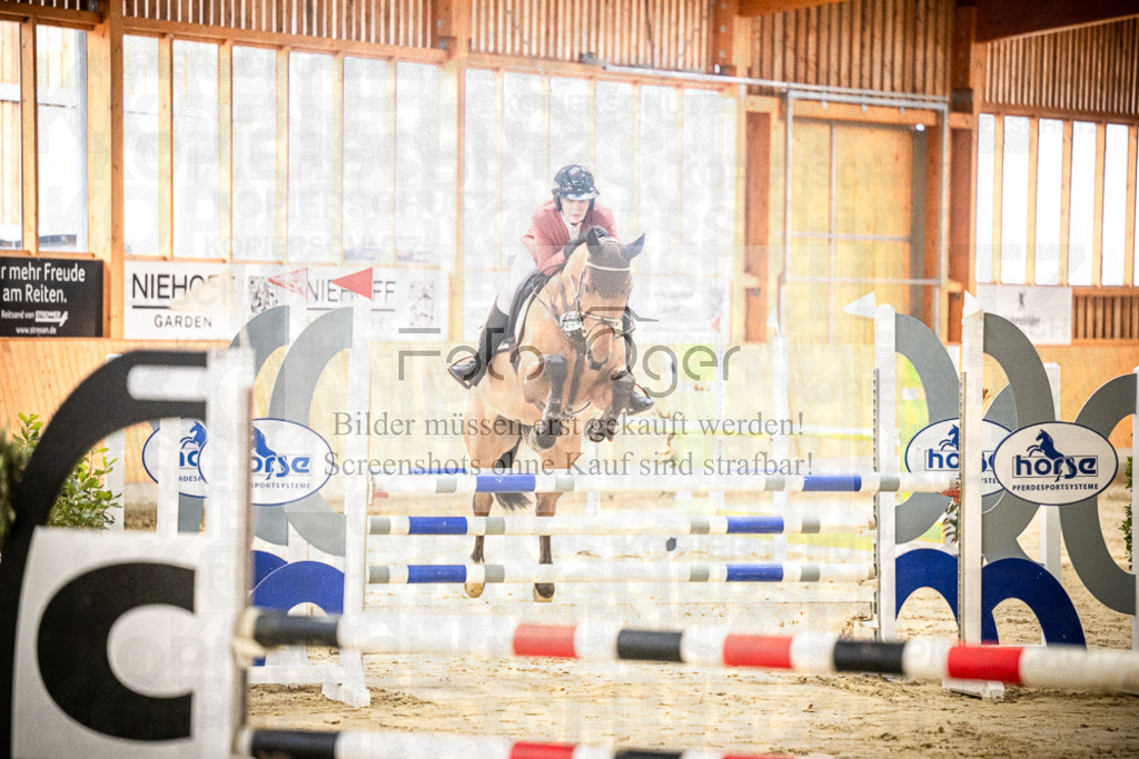 DOS_0200 | Entdecke hochwertige Reitturnierfotos von Foto Oger. Professionell, emotional und authentisch – jetzt Lieblingsmomente im Shop bestellen.Deutschlandweite Turnierfotografie. - Realisiert mit Pictrs.com