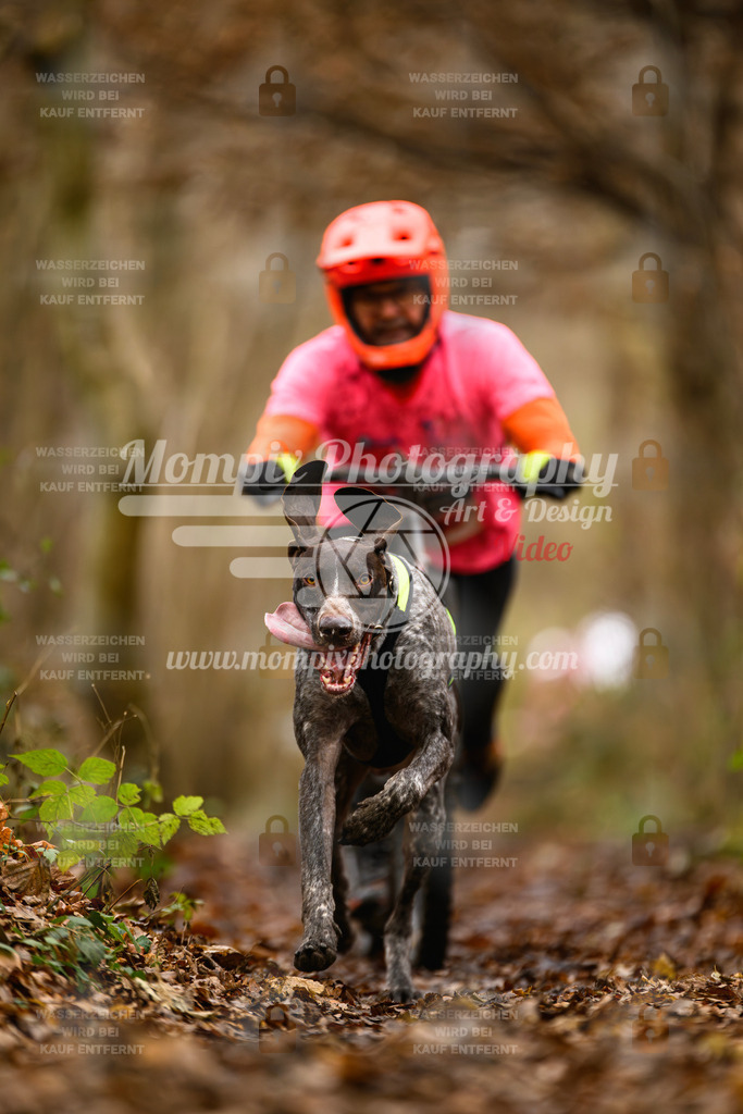 MompixPhotography_Eschau2024_DS1-6 | PayLife