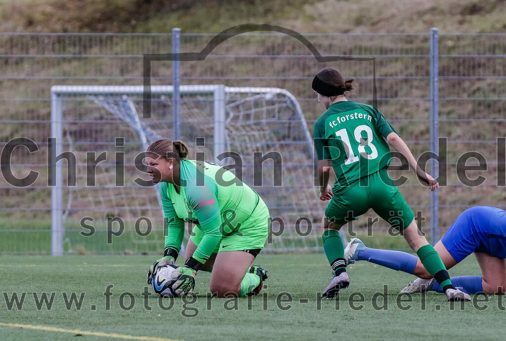 2023-11-19_047_FC_Langengeisling_gegen_FC_Forstern_II | Erding, Deutschland, 19.11.2023:
Fußball, Bezirksoberliga 2023 / 2024, 12. Spieltag, FC Langengeisling gegen FC Forstern II, Endergebnis: 3:0

Torwart Celine Siebrecht (FC Langengeisling, #21), Lotte Lennartz (FC Forstern, #18)

Foto: Christian Riedel / fotografie-riedel.net