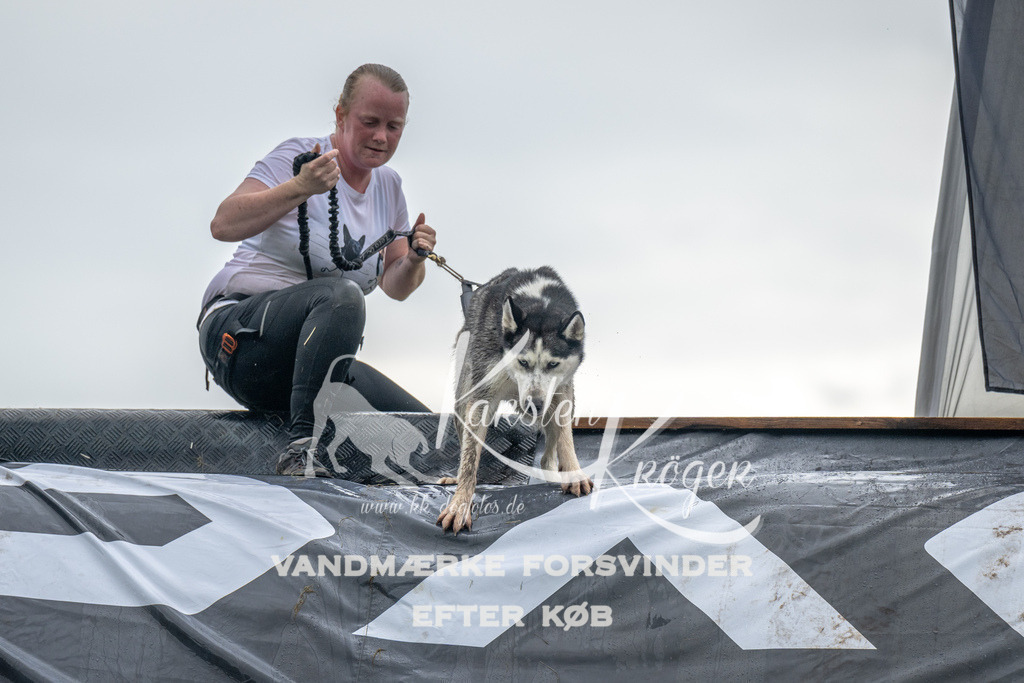 1230_ZZ94816 | kk-dogfotos