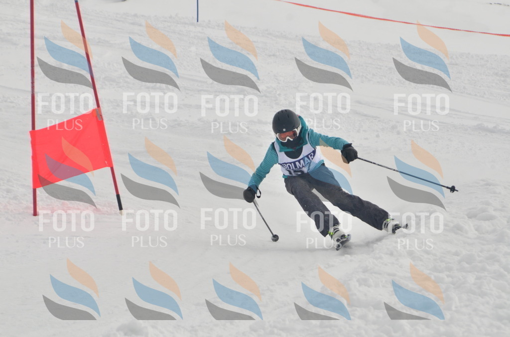 A5557 | holidayphoto