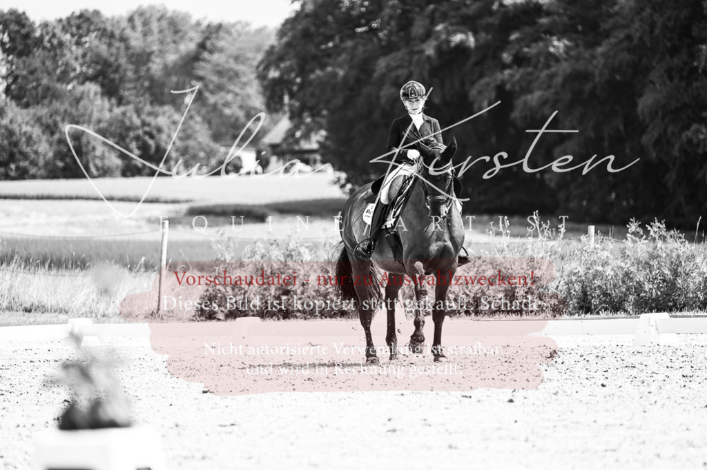 DSC_2470 | Pferde- und Turnierfotografie in Westsachsen. Pferdeportraits, Auftragszeichnungen und intuitive Kunst.