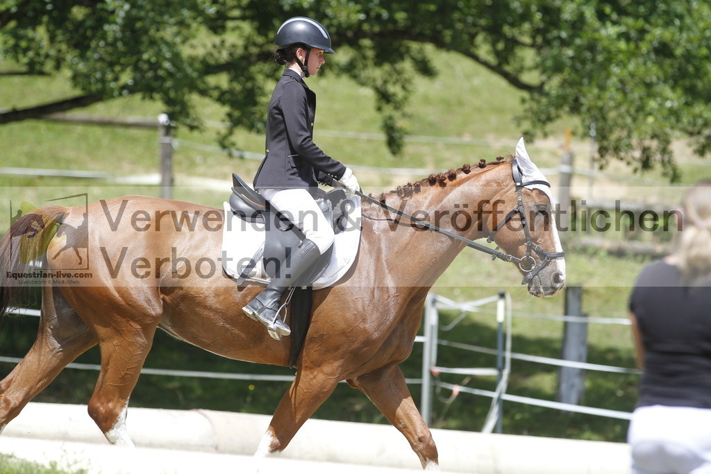 _MG_0893 | equestrian-live-com