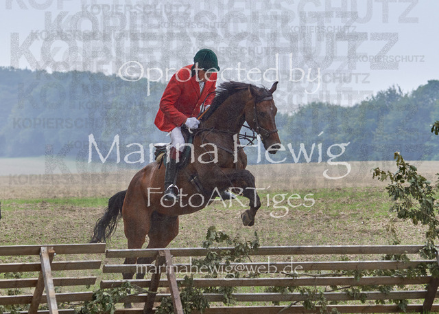 09-23 Jagd Perdöl_MCH9657_Marina Hewig | Fotografie, FotoArt, PferdesportArt, Pferdesportfotografie, Landschaftsfotografie, Reisefotografie, Reise, Pferde - Realisiert mit Pictrs.com