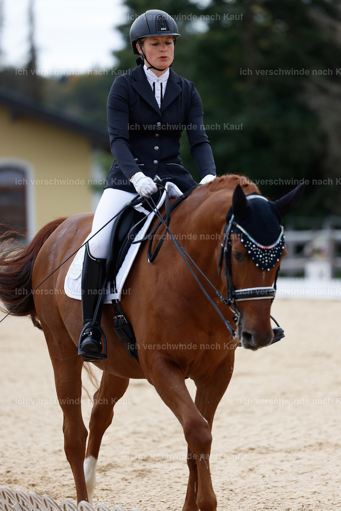 3-049-Dressur M_-StoibPH-2278 | working equitationturnier fotograf videograf stoibphotography marixx film working equitation deutschland reitsport turnierfotografie eventfotografie equestrian events