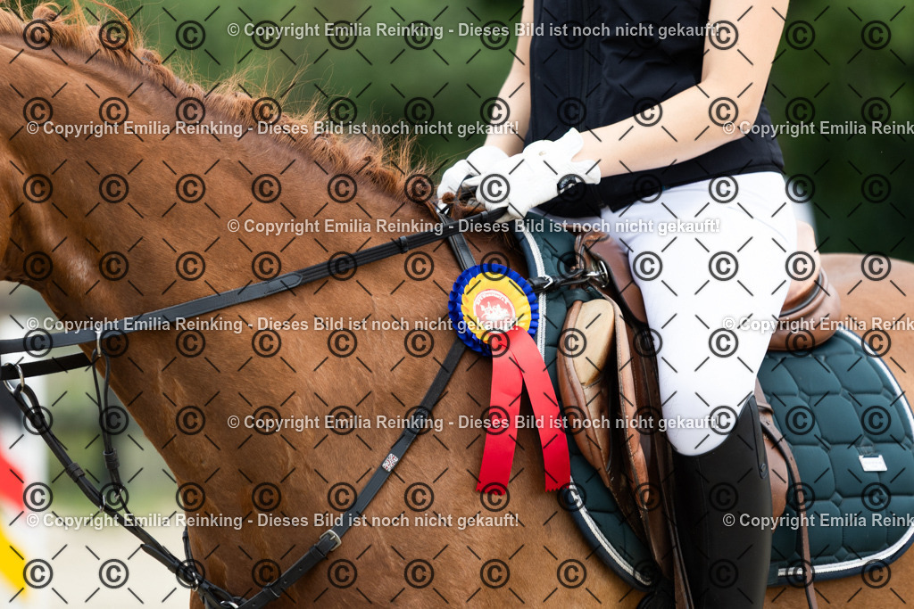 CL5A9072 | Emilia Reinking Fotografie - Realisiert mit Pictrs.com