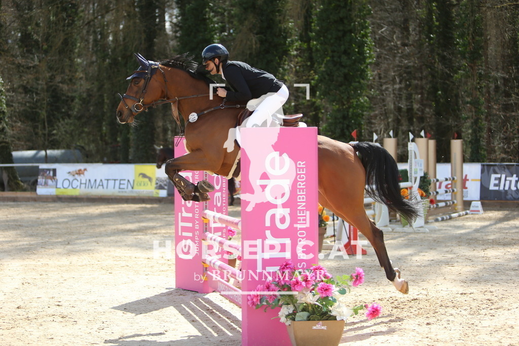 DL2Q8979 | Willkommen bei Brunnmayr - Design & Fotografie – Ihrem Spezialisten für Reitturniere und Pferdeveranstaltungen in Oberösterreich, Salzburg und Bayern! Seit über 17 Jahren sind wir leidenschaftlich dabei.