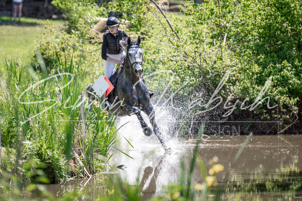 20260523-_3LI8676 | Tierfotografie Pferde, Hunde, Katzen, Haustiere.
Turnierfotografie Reitturniere, Reiten, Springreiten, Dressur in Hanau, dem Main-Kinzig-Kreis und dem Rhein-Main- Gebiet um Frankfurt